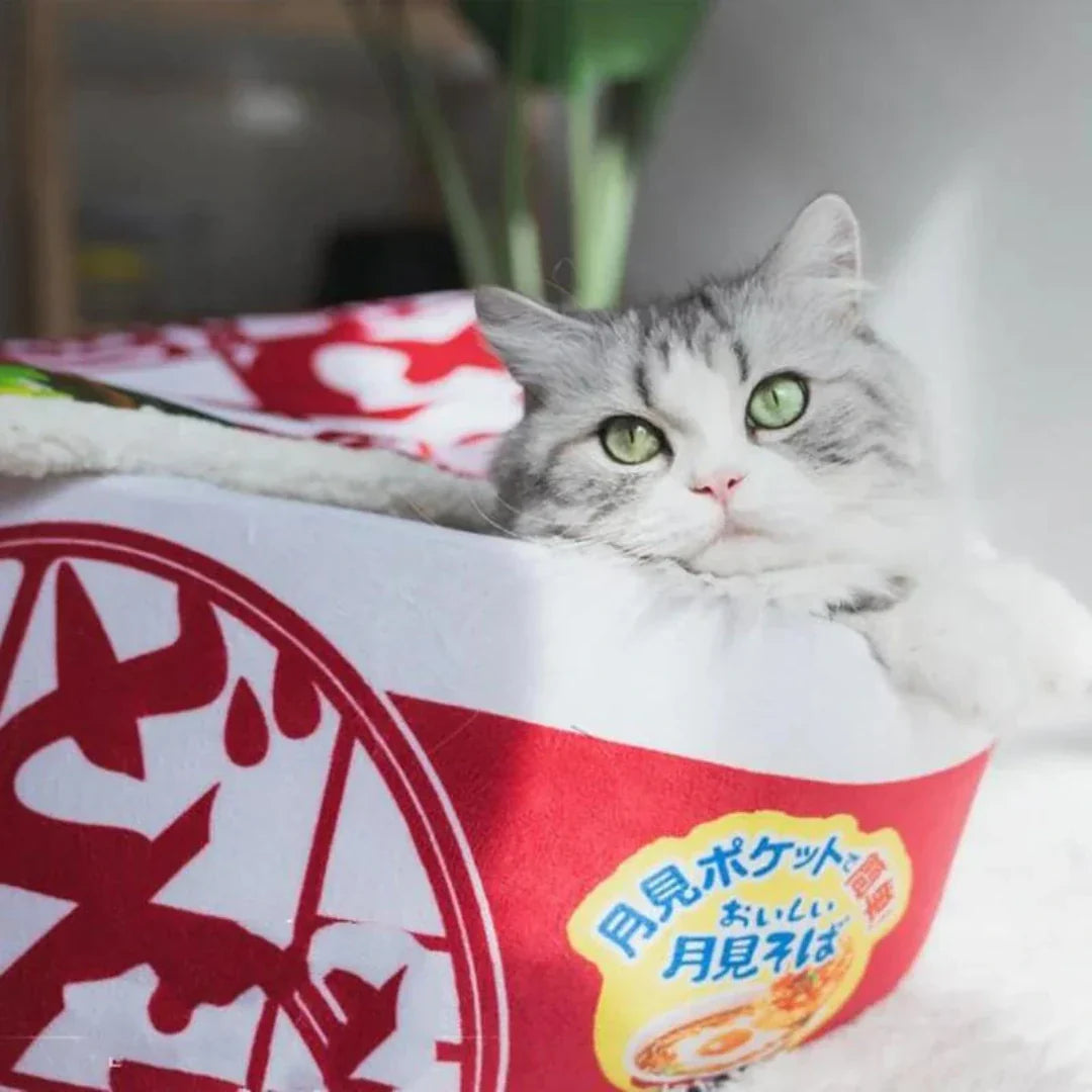 Lit japonais pour chat