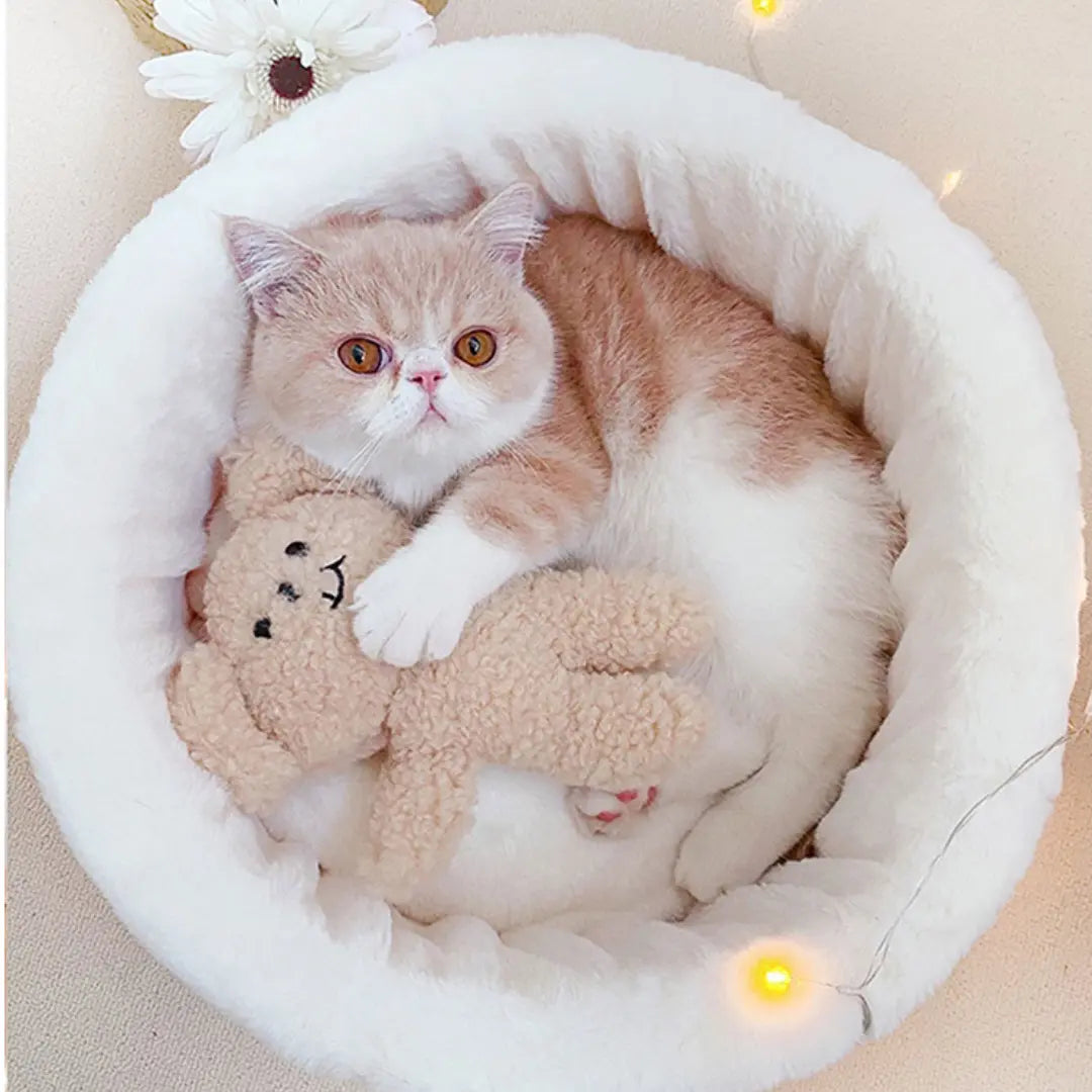 Lit japonais pour chat