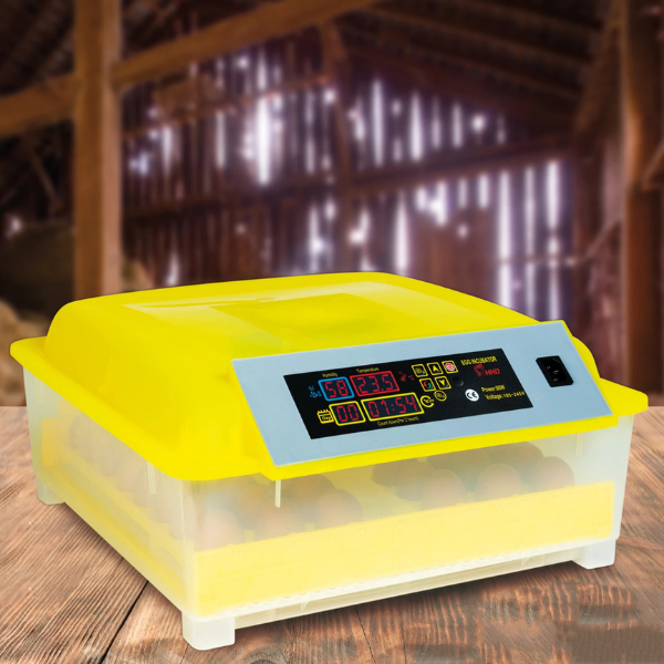 Couveuse Automatique 48 Oeufs - Incubateur Autonome Intelligent