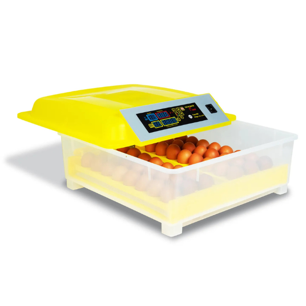 Couveuse Automatique 48 Oeufs - Incubateur Autonome Intelligent