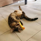 Mini peluches pour chat